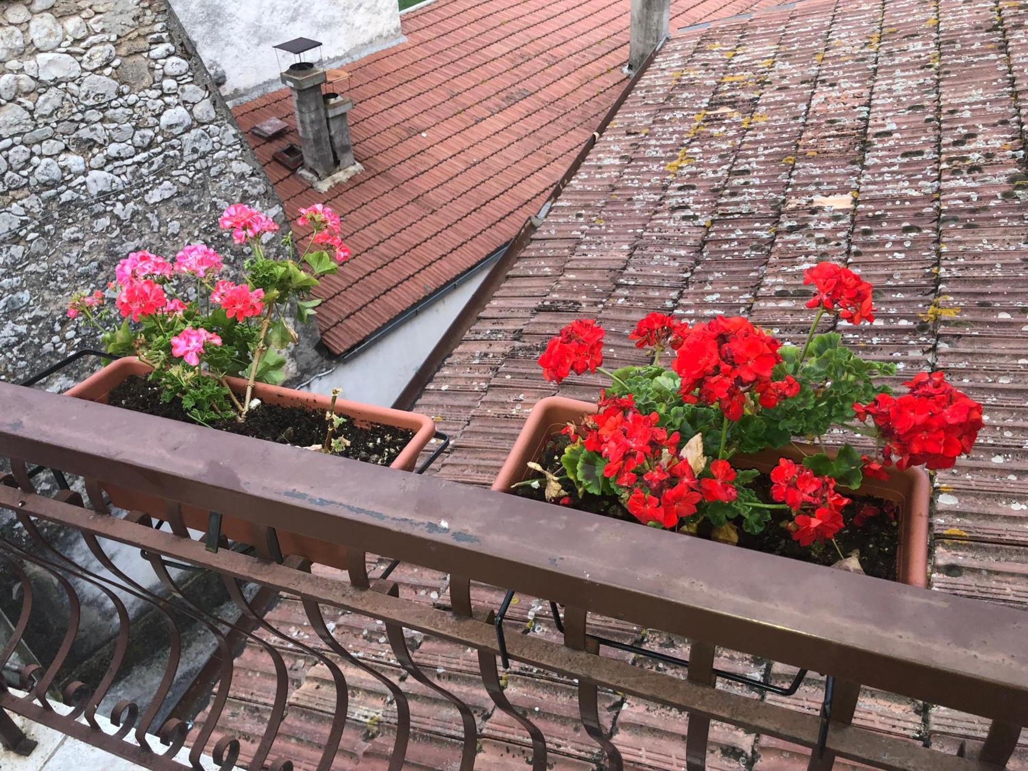 Bed And Breakfast Il Cavaliere Pozzilli Bagian luar foto